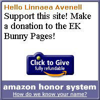 Amazon Honor System