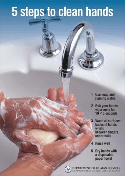 Bathroom Hygiene Posters