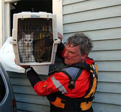 Hurricane Katrina Victim rescued by IFAW
