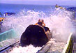 SPLASH