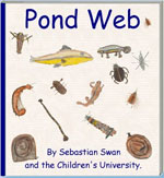 pond web